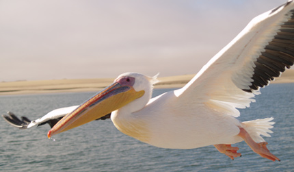 Namibie