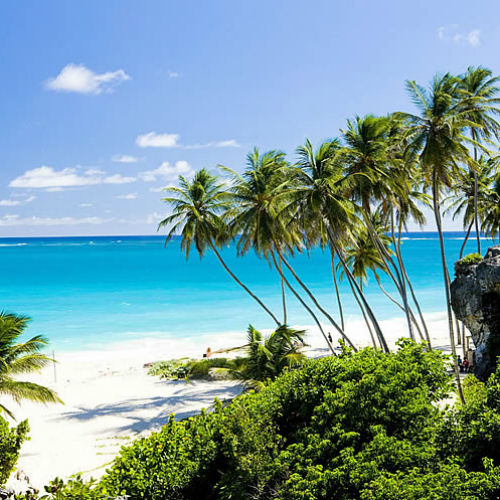 Amsterdam (Schiphol)-Barbados afbeelding