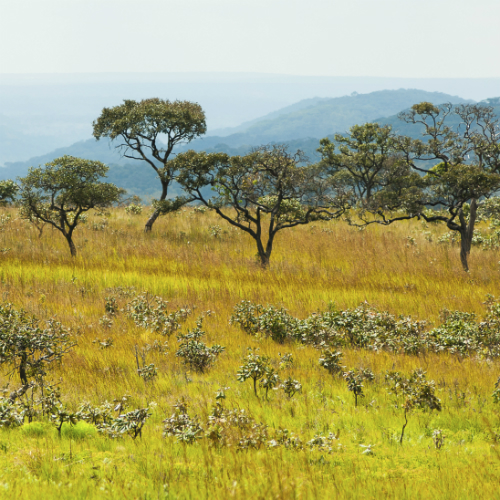 Parijs (Charles de Gaulle)-Brazzaville afbeelding