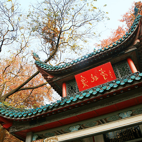 Amsterdam (Schiphol)-Changsha afbeelding
