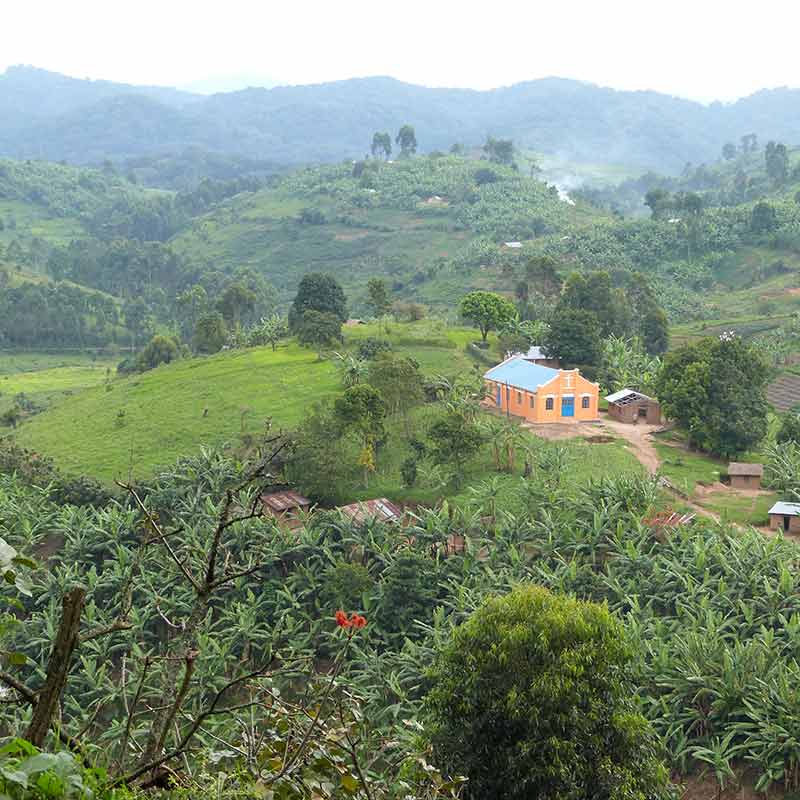 Amsterdam (Schiphol)-Entebbe / Kampala afbeelding