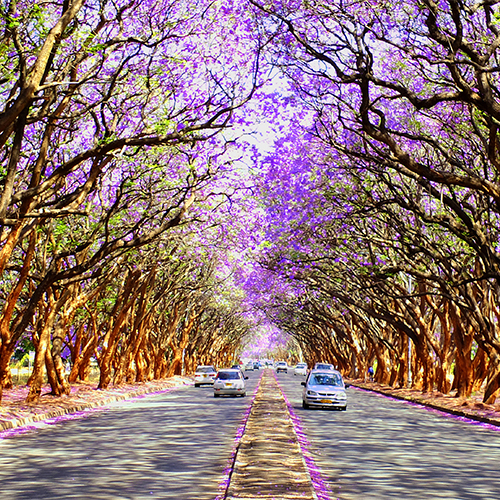 Brussel (Zaventem)-Harare afbeelding