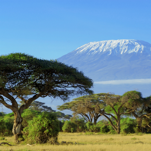 Frankfurt (Intl. Apt.)-Kilimanjaro (Tanzania) afbeelding