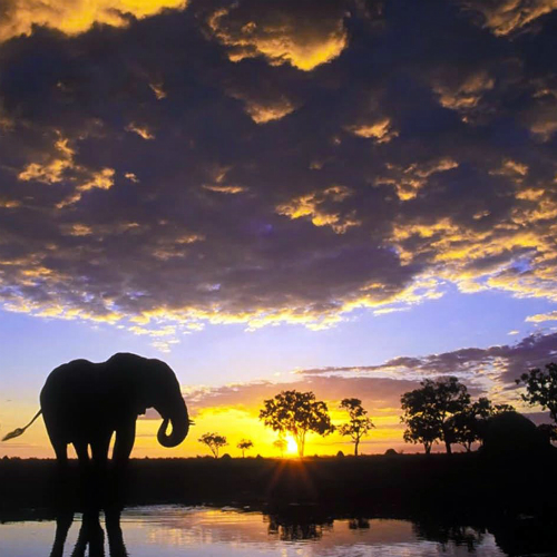 Amsterdam (Schiphol)-Maun afbeelding