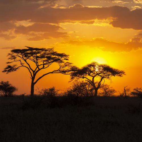 Amsterdam (Schiphol)-Malindi afbeelding