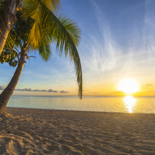 Amsterdam (Schiphol)-Nadi (Fiji) afbeelding