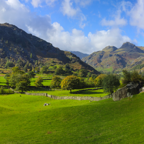Amsterdam (Schiphol)-Newquay afbeelding