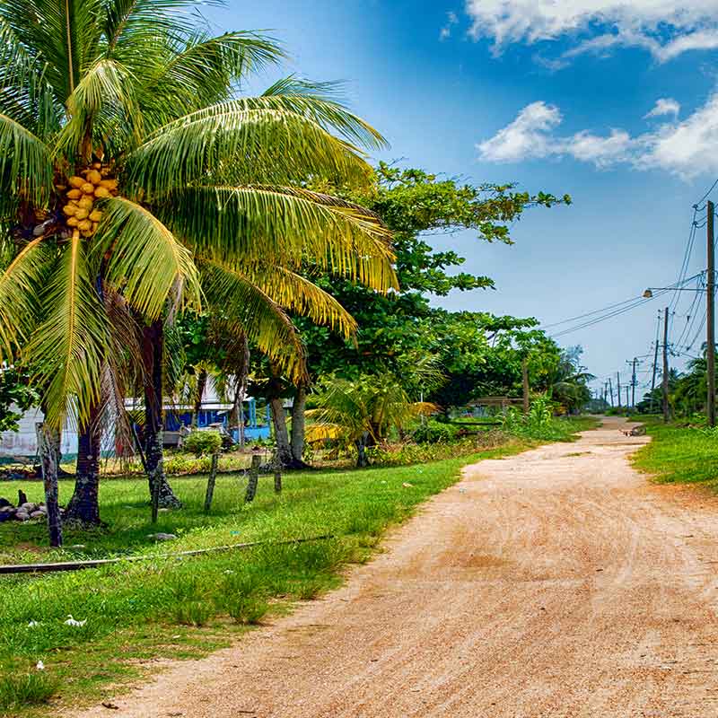 Amsterdam (Schiphol)-Paramaribo (Zanderij Airport)