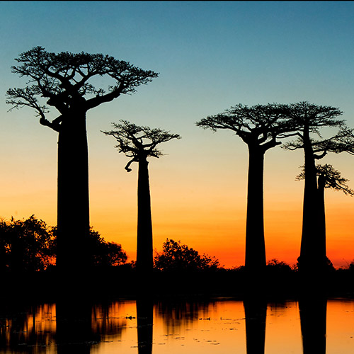 Amsterdam (Schiphol)-Antananarivo afbeelding