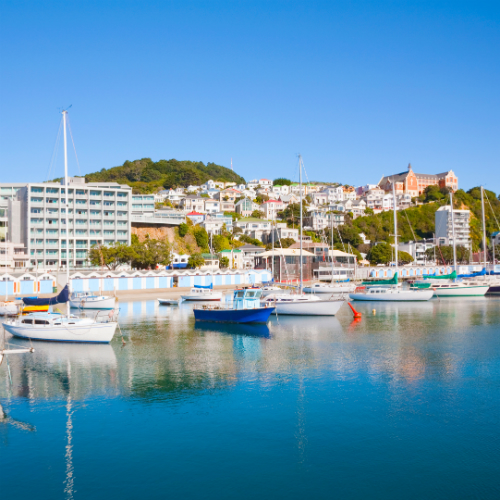 Amsterdam (Schiphol)-Wellington afbeelding